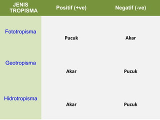 JENIS
                Positif (+ve)   Negatif (-ve)
  TROPISMA


Fototropisma
                   Pucuk            Akar



Geotropisma
                    Akar           Pucuk




Hidrotropisma
                    Akar           Pucuk
 