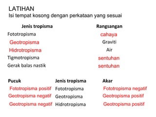 LATIHAN
Isi tempat kosong dengan perkataan yang sesuai

        Jenis tropisma                    Rangsangan
Fototropisma                               cahaya
Geotropisma                                 Graviti
 Hidrotropisma                               Air
Tigmotropisma                             sentuhan
Gerak balas nastik                        sentuhan

Pucuk                    Jenis tropisma     Akar
Fototropisma positif Fototropisma           Fototropisma negatif
Geotropisma negatif Geotropisma             Geotropisma positif
Geotropisma negatif Hidrotropisma           Geotropisma positif
 