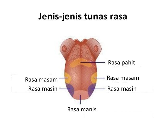 Bab 1 organ deria