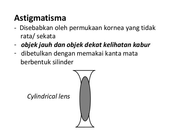 Bab 1 organ deria