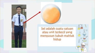 bab1-pengenalansel-240614012559-ff8b3d69.pptx