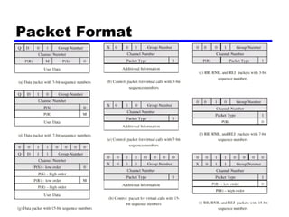 Packet Format

 