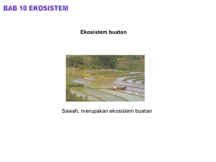 Bab 10.ekosistem