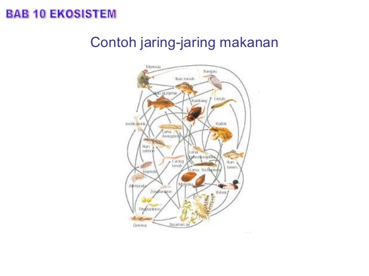 Bab 10.ekosistem Bab 10.ekosistem