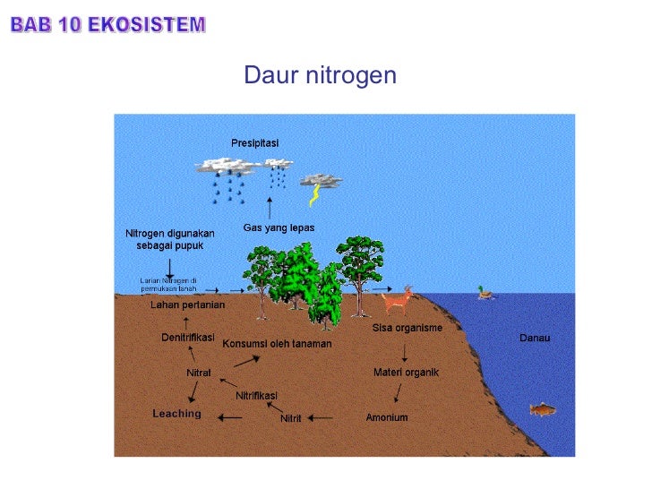 Bab 10.ekosistem