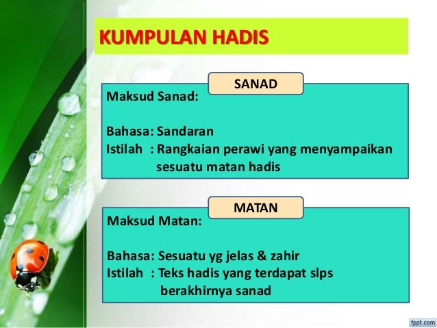 Bab 10 Hadis Sumber Hukum