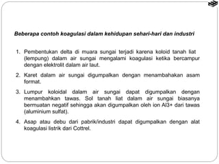Beberapa contoh koagulasi dalam kehidupan sehari-hari dan industri 
1. Pembentukan delta di muara sungai terjadi karena koloid tanah liat 
(lempung) dalam air sungai mengalami koagulasi ketika bercampur 
dengan elektrolit dalam air laut. 
2. Karet dalam air sungai digumpalkan dengan menambahakan asam 
format. 
3. Lumpur koloidal dalam air sungai dapat digumpalkan dengan 
menambahkan tawas. Sol tanah liat dalam air sungai biasanya 
bermuatan negatif sehingga akan digumpalkan oleh ion Al3+ dari tawas 
(aluminium sulfat). 
4. Asap atau debu dari pabrik/industri dapat digumpalkan dengan alat 
koagulasi listrik dari Cottrel. 
 