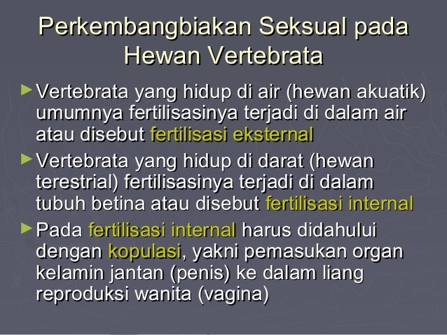 Sistem reproduksi