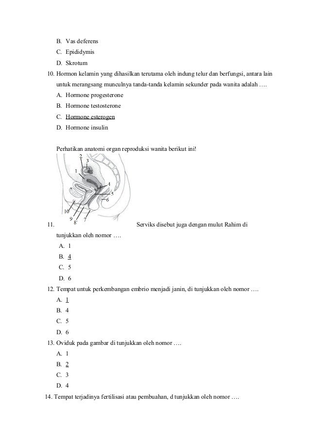 Soal Biologi Reproduksi Kelas 11