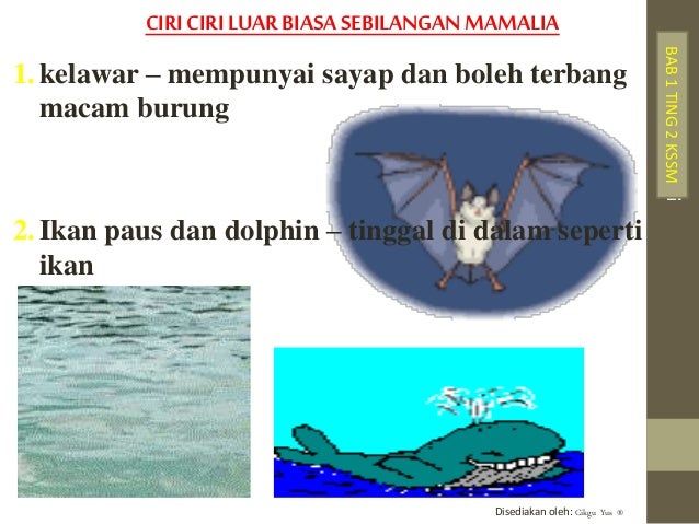 Bab 1 Tingkatan 2 Sains