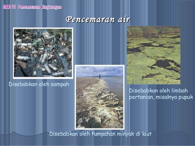 PPT Biologi Bab Pencemaran Lingkungan