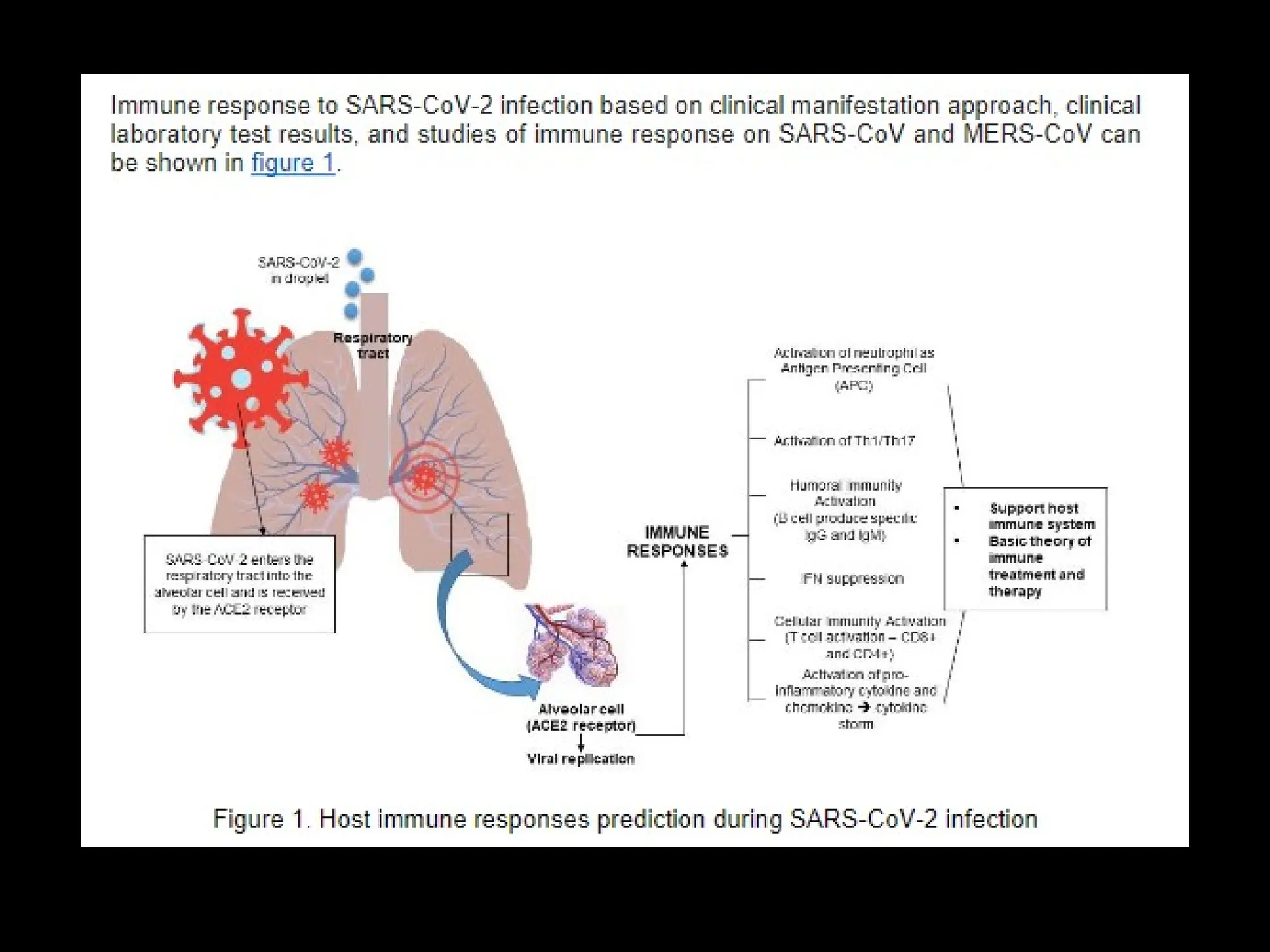 Bab 12 Imunologi Infeksi Dan Tumor Ppt
