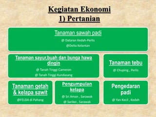 Kegiatan Ekonomi
1) Pertanian
Tanaman sawah padi
@ Dataran Kedah-Perlis
@Delta Kelantan
Tanaman sayur,buah dan bunga hawa
dingin
@ Tanah Tinggi Cameron
@ Tanah Tinggi Kundasang
Tanaman getah
& kelapa sawit
@FELDA di Pahang
Pengumpulan
kelapa
@ Sri Aman , Sarawak
@ Sarikei , Sarawak
Tanaman tebu
@ Chuping , Perlis
Pengedaran
padi
@ Yan Kecil , Kedah
 