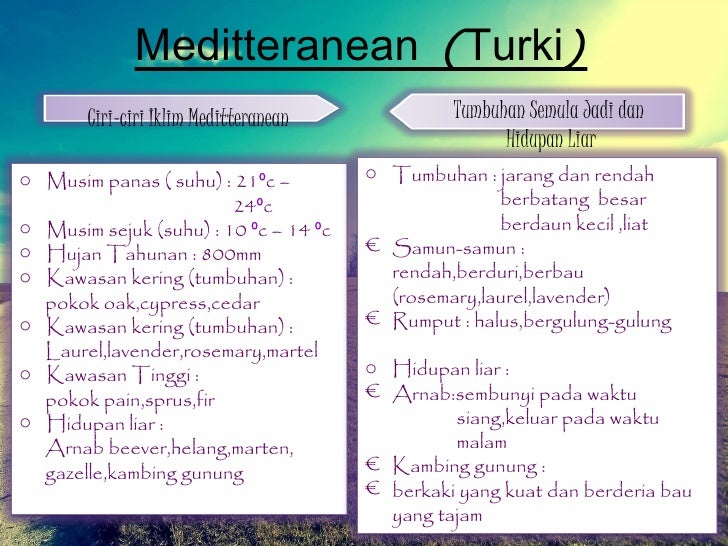 Bab 13 geo Bab 13 geo