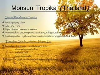 Monsun Tropika (Thailand)
   Ciri-ciri Iklim Monsun Tropika

→ Panas sepanjang tahun
→ Suhu : 21⁰c – 31⁰c
→ Hujan tahunan : 1000mm – 2000mm
→ Jenis tumbuhan : jati,penaga,cendana,jelutung,mahogani,buluh,rotan
→ Jenis hidupan liar : gajah,monyet,harimau,burung,ular,serangga,katak,kupu-kupu

   Tumbuhan Semula Jadi dan Hidupan Liar
→ Tumbuhan : tinggi (20m – 30m),batangnya lurus
             daunnya banyak dan lebar
             berdirian tulen
             hutan lantai padat
→ Hidupan liar : gajah,rusa,harimau,ular,buaya,monyet,burung
 