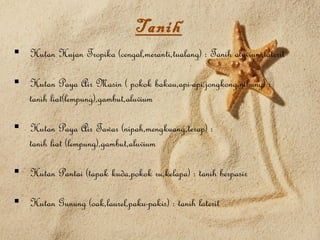 Tanih
 Hutan Hujan Tropika (cengal,meranti,tualang) : Tanih aluvium,laterit

 Hutan Paya Air Masin ( pokok bakau,api-api,jongkong,nibung) :
  tanih liat(lempung),gambut,aluvium

 Hutan Paya Air Tawar (nipah,mengkuang,terap) :
  tanih liat (lempung),gambut,aluvium

 Hutan Pantai (tapak kuda,pokok ru,kelapa) : tanih berpasir

 Hutan Gunung (oak,laurel,paku-pakis) : tanih laterit
 