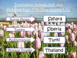 Tumbuhan Semula Jadi dan
Hidupan Liar di Negara-negara Lain

 Gurun Panas          Sahara

    Tundra           Siberia

 Mediterranean        Turki

Monsun Tropika      Thailand
 