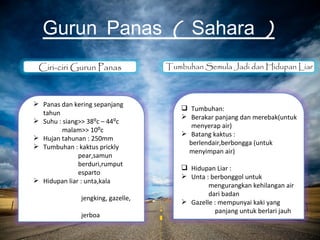 Gurun Panas ( Sahara )
 Ciri-ciri Gurun Panas             Tumbuhan Semula Jadi dan Hidupan Liar



 Panas dan kering sepanjang
                                       Tumbuhan:
  tahun
                                       Berakar panjang dan merebak(untuk
 Suhu : siang>> 38⁰c – 44⁰c
                                         menyerap air)
         malam>> 10⁰c
                                       Batang kaktus :
 Hujan tahunan : 250mm
                                        berlendair,berbongga (untuk
 Tumbuhan : kaktus prickly
                                        menyimpan air)
              pear,samun
              berduri,rumput
                                       Hidupan Liar :
              esparto
                                       Unta : berbonggol untuk
 Hidupan liar : unta,kala
                                              mengurangkan kehilangan air
                                              dari badan
              jengking, gazelle,
                                       Gazelle : mempunyai kaki yang
                                                panjang untuk berlari jauh
              jerboa
 