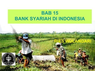 BAB 15
BANK SYARIAH DI INDONESIA



              RIES WULANDARI
 
