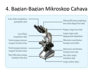 4. Bagian-Bagian Mikroskop Cahaya
 