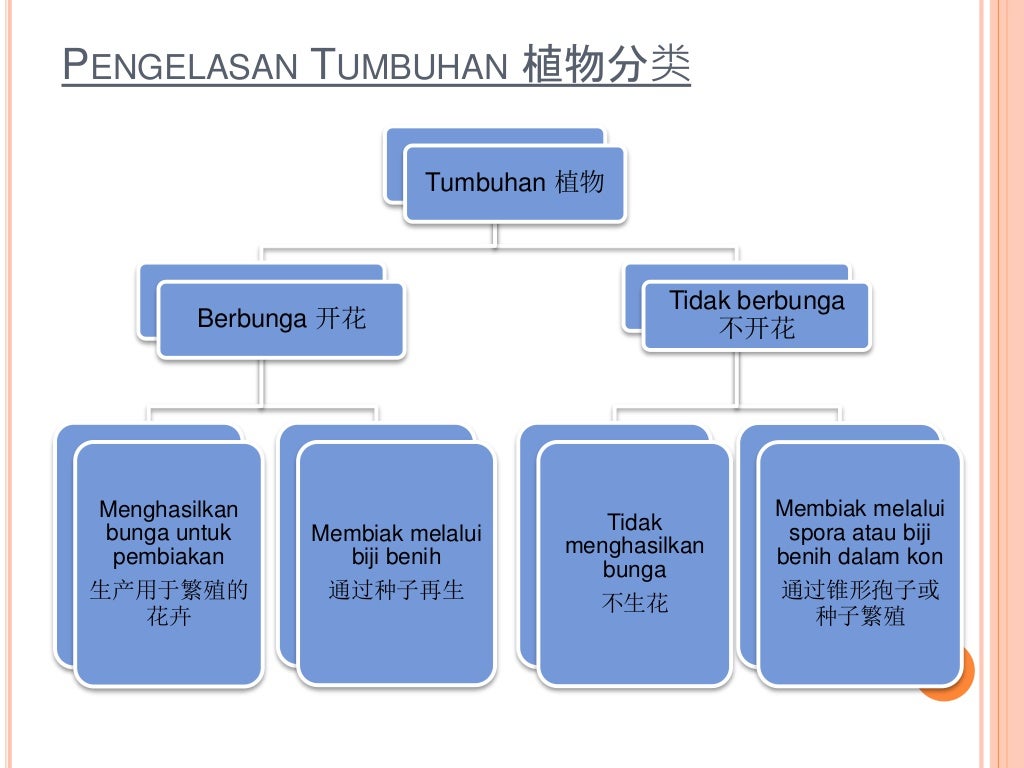 【华语翻译】SAINS KSSM Tingkatan 2 Bab1 Biodiversiti