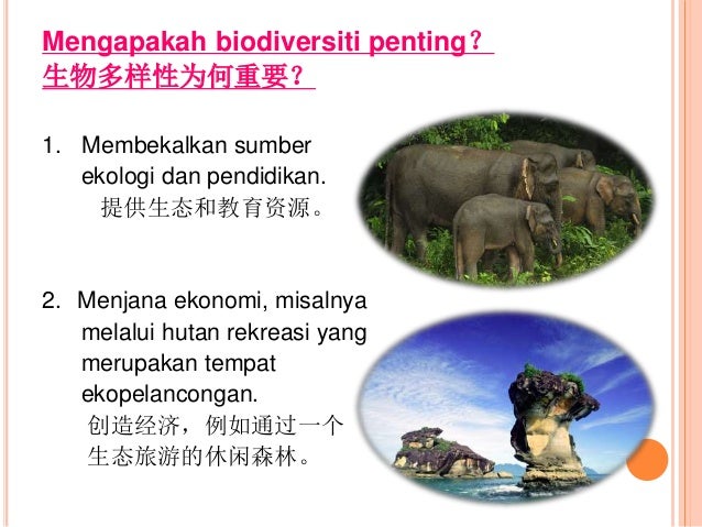 Maksud Biodiversiti Tingkatan 2 / sains tingkatan 2 bab 3