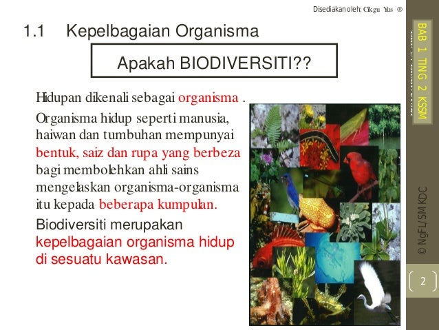Bab 1 biodiversiti (bm)