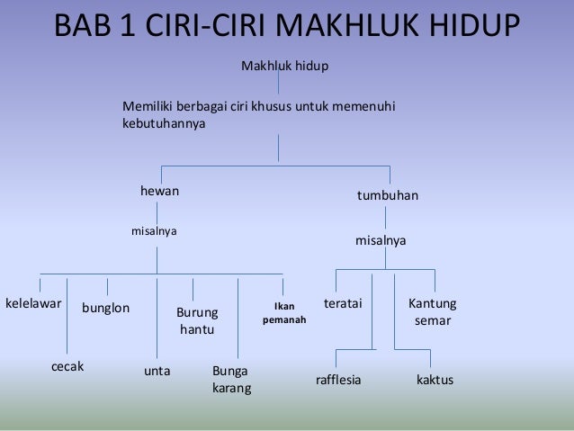 Bab 1 ciri ciri makhluk hidup