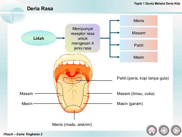 Soalan Sains Tingkatan 1 Dalam Bahasa Melayu - Terengganu q