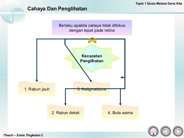 Bab 1 Dunia Melalui Deria Kita