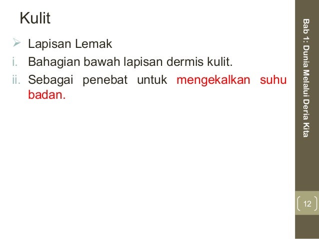 Bab 1 dunia melalui deria kita nota