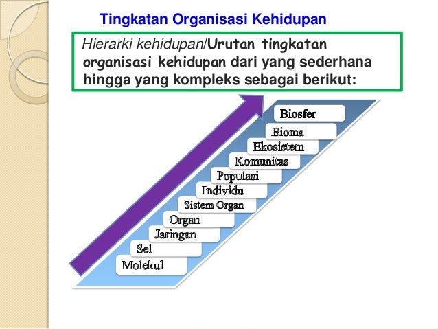 Bab1hakekatbiologi