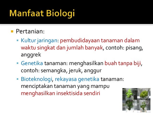 Bab1hakekatbiologi