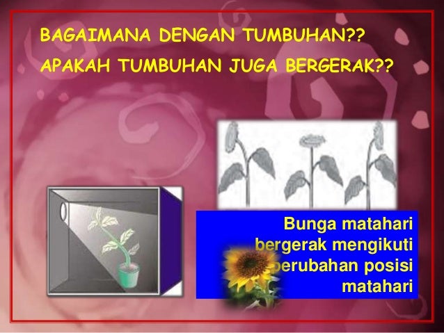 Bab1hakekatbiologi