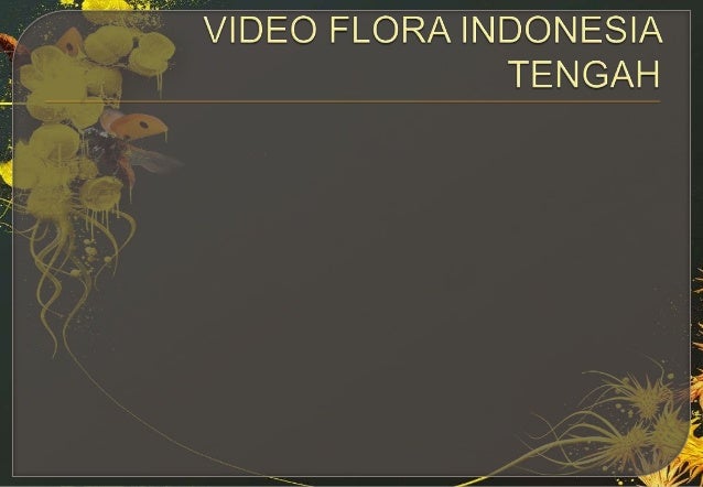 Bab 1 kondisi fisik wilayah indonesia d