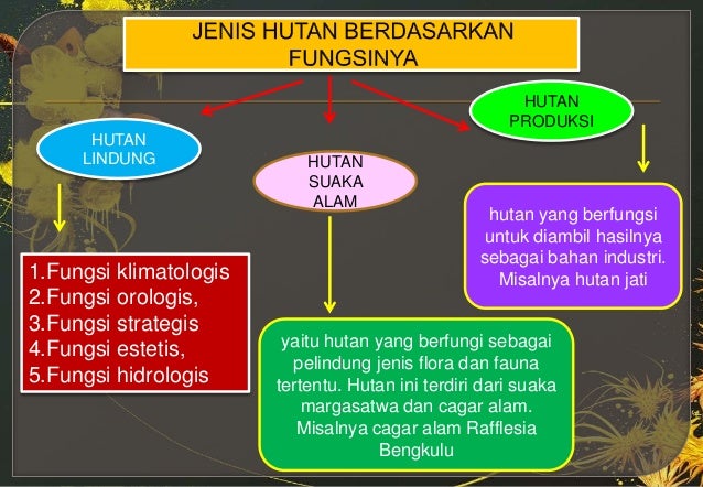 Bab 1 kondisi fisik wilayah indonesia d