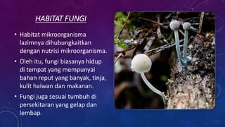 HABITAT FUNGI
• Habitat mikroorganisma
lazimnya dihubungkaitkan
dengan nutrisi mikroorganisma.
• Oleh itu, fungi biasanya hidup
di tempat yang mempunyai
bahan reput yang banyak, tinja,
kulit haiwan dan makanan.
• Fungi juga sesuai tumbuh di
persekitaran yang gelap dan
lembap.
 