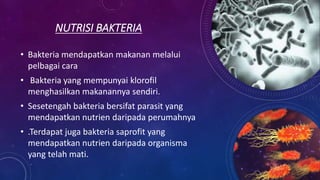 NUTRISI BAKTERIA
• Bakteria mendapatkan makanan melalui
pelbagai cara
• Bakteria yang mempunyai klorofil
menghasilkan makanannya sendiri.
• Sesetengah bakteria bersifat parasit yang
mendapatkan nutrien daripada perumahnya
• .Terdapat juga bakteria saprofit yang
mendapatkan nutrien daripada organisma
yang telah mati.
 
