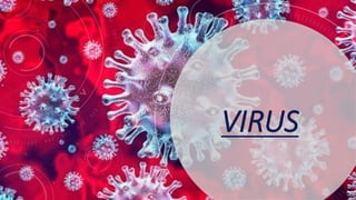 VIRUS
 