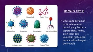 BENTUK VIRUS
• Virus yang berlainan
jenis mempunyai
bentuk yang berbeza
seperti sfera, heliks,
polihedral dan
kompleks (gabungan
antara heliks dengan
polihedral)
 