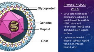 STRUKTUR ASAS
VIRUS
• Virus terdiri daripada
bebenang asid nukleik
(asid deoksiribonukleik
(DNA) atau asid
ribonukleik (RNA)) yang
dilindungi oleh lapisan
protein.
• Lapisan protein ini
dikenali sebagai kapsid
yang menentukan
bentuk virus
 
