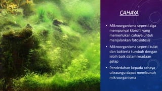 CAHAYA
• Mikroorganisma seperti alga
mempunyai klorofil yang
memerlukan cahaya untuk
menjalankan fotosintesis
• Mikroorganisma seperti kulat
dan bakteria tumbuh dengan
lebih baik dalam keadaan
gelap
• Pendedahan kepada cahaya
ultraungu dapat membunuh
mikroorganisma
 