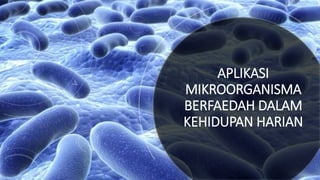 APLIKASI
MIKROORGANISMA
BERFAEDAH DALAM
KEHIDUPAN HARIAN
 