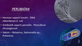 PERUBATAN
• Hormon seperti insulin - DNA
rekombinan E. coli
• Antibiotik seperti penisilin - Penicillium
chrysogenum
• Vaksin – Rotavirus, Salmonella sp.,
Poliovirus
 