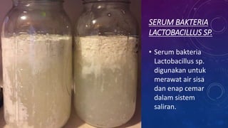 SERUM BAKTERIA
LACTOBACILLUS SP.
• Serum bakteria
Lactobacillus sp.
digunakan untuk
merawat air sisa
dan enap cemar
dalam sistem
saliran.
 