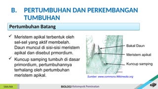 Materi kelas 12 fase F mengenai pertumbuhan | PPTX