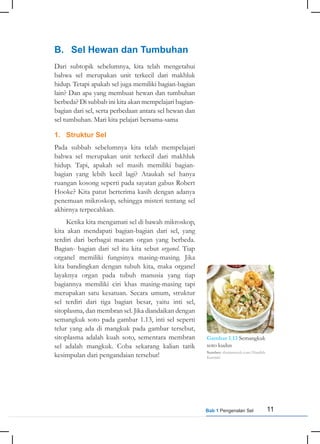 11
Bab 1 Pengenalan Sel
B. Sel Hewan dan Tumbuhan
Dari subtopik sebelumnya, kita telah mengetahui
bahwa sel merupakan unit terkecil dari makhluk
hidup. Tetapi apakah sel juga memiliki bagian-bagian
lain? Dan apa yang membuat hewan dan tumbuhan
berbeda? Di subbab ini kita akan mempelajari bagian-
bagian dari sel, serta perbedaan antara sel hewan dan
sel tumbuhan. Mari kita pelajari bersama-sama
1. Struktur Sel
Pada subbab sebelumnya kita telah mempelajari
bahwa sel merupakan unit terkecil dari makhluk
hidup. Tapi, apakah sel masih memiliki bagian-
bagian yang lebih kecil lagi? Ataukah sel hanya
ruangan kosong seperti pada sayatan gabus Robert
Hooke? Kita patut berterima kasih dengan adanya
penemuan mikroskop, sehingga misteri tentang sel
akhirnya terpecahkan.
Ketika kita mengamati sel di bawah mikroskop,
kita akan mendapati bagian-bagian dari sel, yang
terdiri dari berbagai macam organ yang berbeda.
Bagian- bagian dari sel itu kita sebut organel. Tiap
organel memiliki fungsinya masing-masing. Jika
kita bandingkan dengan tubuh kita, maka organel
layaknya organ pada tubuh manusia yang tiap
bagiannya memiliki ciri khas masing-masing tapi
merupakan satu kesatuan. Secara umum, struktur
sel terdiri dari tiga bagian besar, yaitu inti sel,
sitoplasma, dan membran sel. Jika diandaikan dengan
semangkuk soto pada gambar 1.13, inti sel seperti
telur yang ada di mangkuk pada gambar tersebut,
sitoplasma adalah kuah soto, sementara membran
sel adalah mangkuk. Coba sekarang kalian tarik
kesimpulan dari pengandaian tersebut!
Gambar 1.13 Semangkuk
soto kudus
Sumber: shutterstock.com/Hanifah
Kurniati
 