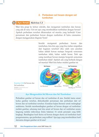 12 Ilmu Pengetahuan Alam untuk SMP Kelas VIII
Mari kita pergi ke kebun sekolah, dan mengamati tumbuhan dan hewan
yang ada di sana. Ciri-ciri apa yang membedakan tumbuhan dengan hewan?
Apakah perbedaan tersebut dikarenakan sel mereka yang berbeda? Catat
persamaan dan perbedaan hewan dengan tumbuhan di buku catatanmu
dengan menggunakan diagram Venn!
2. Perbedaan sel hewan dengan sel
tumbuhan
Setelah mengamati perbedaan hewan dan
tumbuhan, kira-kira apa yang bisa kalian simpulkan
dari kegiatan tersebut? Jika salah satu jawaban
kalian adalah hewan mampu bergerak sementara
tumbuhan tidak, kalian sudah benar. Nah apa
yamg membuat hewan mampu bergerak sementara
tumbuhan tidak? Apakah ada yang berbeda dengan
sel mereka? Mari kita bahas melalui gambar ini
Ayo Menganalisis Sel Hewan dan Sel Tumbuhan
Perhatikan gambar sel hewan dan sel tumbuhan di atas. Setelah kamu amati
kedua gambar tersebut, diskusikanlah persamaan dan perbedaan dari sel
hewan dan sel tumbuhan tersebut. Gunakan kajian literatur untuk melengkapi
analisismu. Setelah membandingkan gambar sel hewan dengan sel tumbuhan
melalui gambar, sekarang mari kita amati sel hewan dan sel tumbuhan secara
langsung melalui mikroskop (buka halaman 16 untuk petunjuk yang lebih
lengkap). Bandingkan hasil sketsa sel hewan dengan sketsa sel tumbuhan hasil
pengamatanmu, apa perbedaan yang terlihat? Apa juga yang membedakan hasil
sketsamu dengan gambar sel di atas?
Ayo Amati Aktivitas 1.3
Sel Hewan Sel Tumbuhan
vakuola
sitoplasma
nukleus
Sel Membran Kloroplas
Dinding sel
Sel
Membran
Mitokondria
Gambar 1.14 Sel hewan dan
Sel tumbuhan
Sumber: shutterstock.com/
BlueRingMedia
 