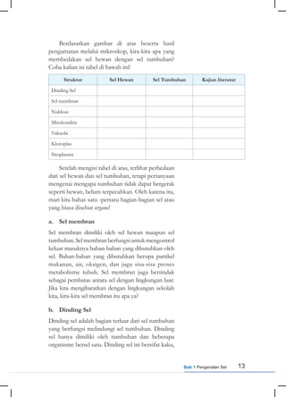 13
Bab 1 Pengenalan Sel
Berdasarkan gambar di atas beserta hasil
pengamatan melalui mikroskop, kira-kira apa yang
membedakan sel hewan dengan sel tumbuhan?
Coba kalian isi tabel di bawah ini!
Struktur Sel Hewan Sel Tumbuhan Kajian literatur
Dinding Sel
Sel membran
Nukleus
Mitokondria
Vakuola
Kloroplas
Sitoplasma
Setelah mengisi tabel di atas, terlihat perbedaan
dari sel hewan dan sel tumbuhan, tetapi pertanyaan
mengenai mengapa tumbuhan tidak dapat bergerak
seperti hewan, belum terpecahkan. Oleh karena itu,
mari kita bahas satu -persatu bagian-bagian sel atau
yang biasa disebut organel
a. Sel membran
Sel membran dimiliki oleh sel hewan maupun sel
tumbuhan.Selmembranberfungsiuntukmengontrol
keluar masuknya bahan-bahan yang dibutuhkan oleh
sel. Bahan-bahan yang dibutuhkan berupa partikel
makanan, air, oksigen, dan juga sisa-sisa proses
metabolisme tubuh. Sel membran juga bertindak
sebagai pembatas antara sel dengan lingkungan luar.
Jika kita mengibaratkan dengan lingkungan sekolah
kita, kira-kira sel membran itu apa ya?
b. Dinding Sel
Dinding sel adalah bagian terluar dari sel tumbuhan
yang berfungsi melindungi sel tumbuhan. Dinding
sel hanya dimiliki oleh tumbuhan dan beberapa
organisme bersel satu. Dinding sel ini bersifat kaku,
 