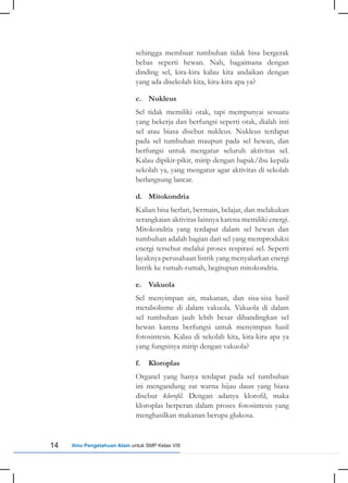 14 Ilmu Pengetahuan Alam untuk SMP Kelas VIII
sehingga membuat tumbuhan tidak bisa bergerak
bebas seperti hewan. Nah, bagaimana dengan
dinding sel, kira-kira kalau kita andaikan dengan
yang ada disekolah kita, kira-kira apa ya?
c. Nukleus
Sel tidak memiliki otak, tapi mempunyai sesuatu
yang bekerja dan berfungsi seperti otak, dialah inti
sel atau biasa disebut nukleus. Nukleus terdapat
pada sel tumbuhan maupun pada sel hewan, dan
berfungsi untuk mengatur seluruh aktivitas sel.
Kalau dipikir-pikir, mirip dengan bapak/ibu kepala
sekolah ya, yang mengatur agar aktivitas di sekolah
berlangsung lancar.
d. Mitokondria
Kalian bisa berlari, bermain, belajar, dan melakukan
serangkaian aktivitas lainnya karena memiliki energi.
Mitokondria yang terdapat dalam sel hewan dan
tumbuhan adalah bagian dari sel yang memproduksi
energi tersebut melalui proses respirasi sel. Seperti
layaknya perusahaan listrik yang menyalurkan energi
listrik ke rumah-rumah, begitupun mitokondria.
e. Vakuola
Sel menyimpan air, makanan, dan sisa-sisa hasil
metabolisme di dalam vakuola. Vakuola di dalam
sel tumbuhan jauh lebih besar dibandingkan sel
hewan karena berfungsi untuk menyimpan hasil
fotosintesis. Kalau di sekolah kita, kira-kira apa ya
yang fungsinya mirip dengan vakuola?
f. Kloroplas
Organel yang hanya terdapat pada sel tumbuhan
ini mengandung zat warna hijau daun yang biasa
disebut klorofil. Dengan adanya klorofil, maka
kloroplas berperan dalam proses fotosintesis yang
menghasilkan makanan berupa glukosa.
 